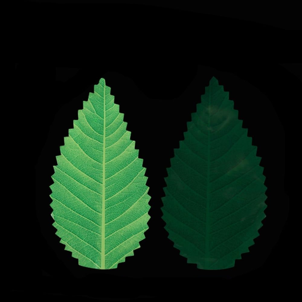 Sushi Decoration Ikki (200 Units) Osaka Street Market