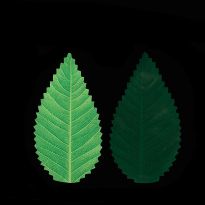 Sushi Decoration Ikki (200 Units) Osaka Street Market