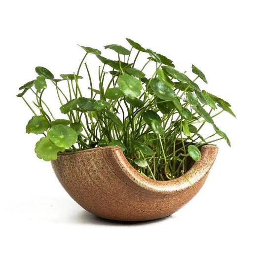 Vase Midori Osaka Street Market